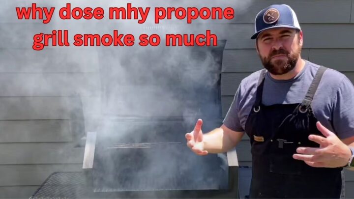 Why Is My Traeger Smoking So Much (10Common Reasons) - The Kitchen Wiki